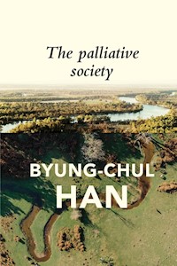 The Palliative Society - Byung-Chul Han - E-Book