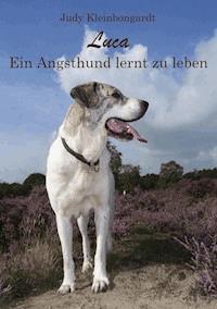 Luca - Judy Kleinbongardt - E-Book