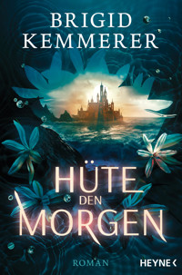 Hüte den Morgen - Brigid Kemmerer - E-Book