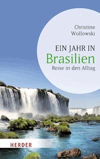 Ein Jahr in Brasilien - Christine Wollowski - E-Book