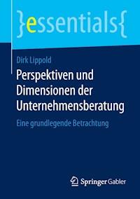 Perspektiven und Dimensionen der Unternehmensberatung - Dirk Lippold - E-Book