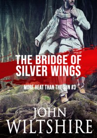 The Bridge of Silver Wings - John Wiltshire - E-Book
