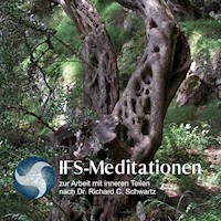 IFS-Meditationen zur Arbeit mit inneren Teilen nach Dr. Richard C. Schwartz - Richard C. Schwartz - Hörbuch
