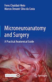 Microneuroanatomy and Surgery - Feres Chaddad-Neto - E-Book
