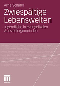 Zwiespältige Lebenswelten - Arne Schäfer - E-Book