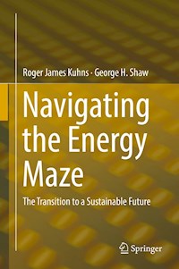 Navigating the Energy Maze - Roger James Kuhns - E-Book
