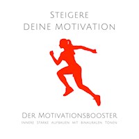 Steigere deine Motivation: Der ultimative Motivationsbooster - David Korkin - Hörbuch