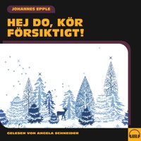 Hej do, kör försiktigt! - Johannes Epple - Hörbuch