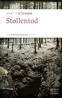 Stollentod - Anett Steiner - E-Book