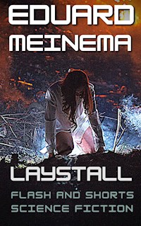 Laystall - Meinema Eduard - E-Book