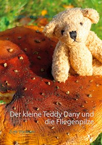 Der kleine Teddy Dany und die Fliegenpilze - Brigitte Anna Lina Wacker - E-Book