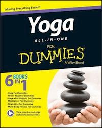 Yoga All-in-One For Dummies - Larry Payne - E-Book