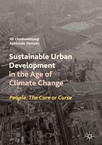 Sustainable Urban Development in the Age of Climate Change - Ali Cheshmehzangi - E-Book
