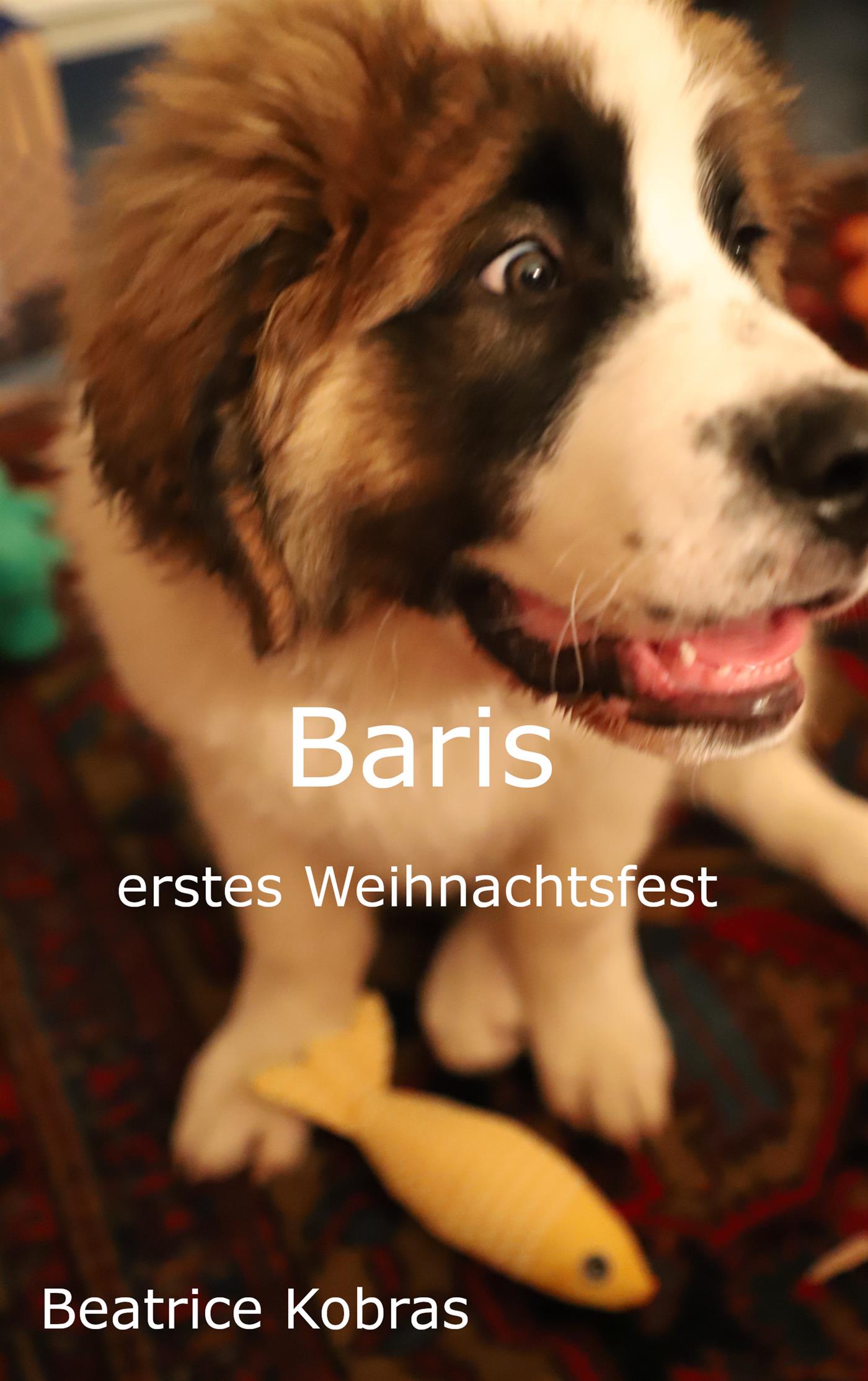 Baris erstes Weihnachtsfest - Beatrice Kobras - E-Book