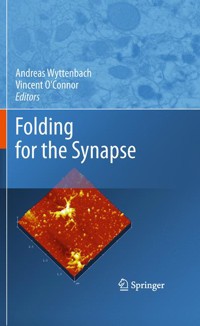 Folding for the Synapse -  - E-Book