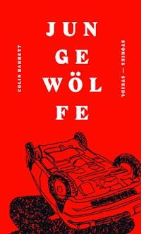 Junge Wölfe - Colin Barrett - E-Book