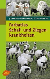 Schaf- und Ziegenkrankheiten - Johannes Winkelmann - E-Book