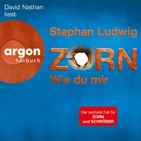 Wie du mir - Zorn, Band 6 (Ungekürzte Lesung) - Stephan Ludwig - Hörbuch