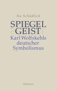 Spiegelgeist - Na Schädlich - E-Book