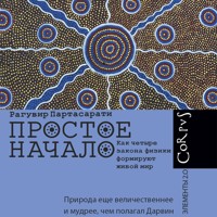 Простое начало - Рагувир Партасарати - Hörbuch