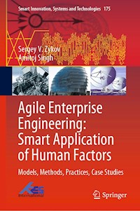 Agile Enterprise Engineering: Smart Application of Human Factors - Sergey V. Zykov - E-Book