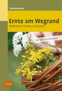 Ernte am Wegrand - Christine Recht - E-Book