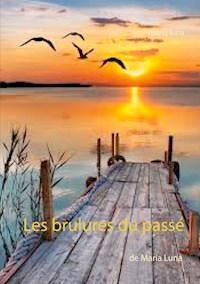 Les brulures du passé - Maria Luna - E-Book