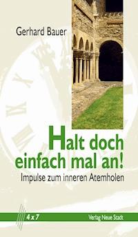 Halt doch einfach mal an! - Gerhard Bauer - E-Book