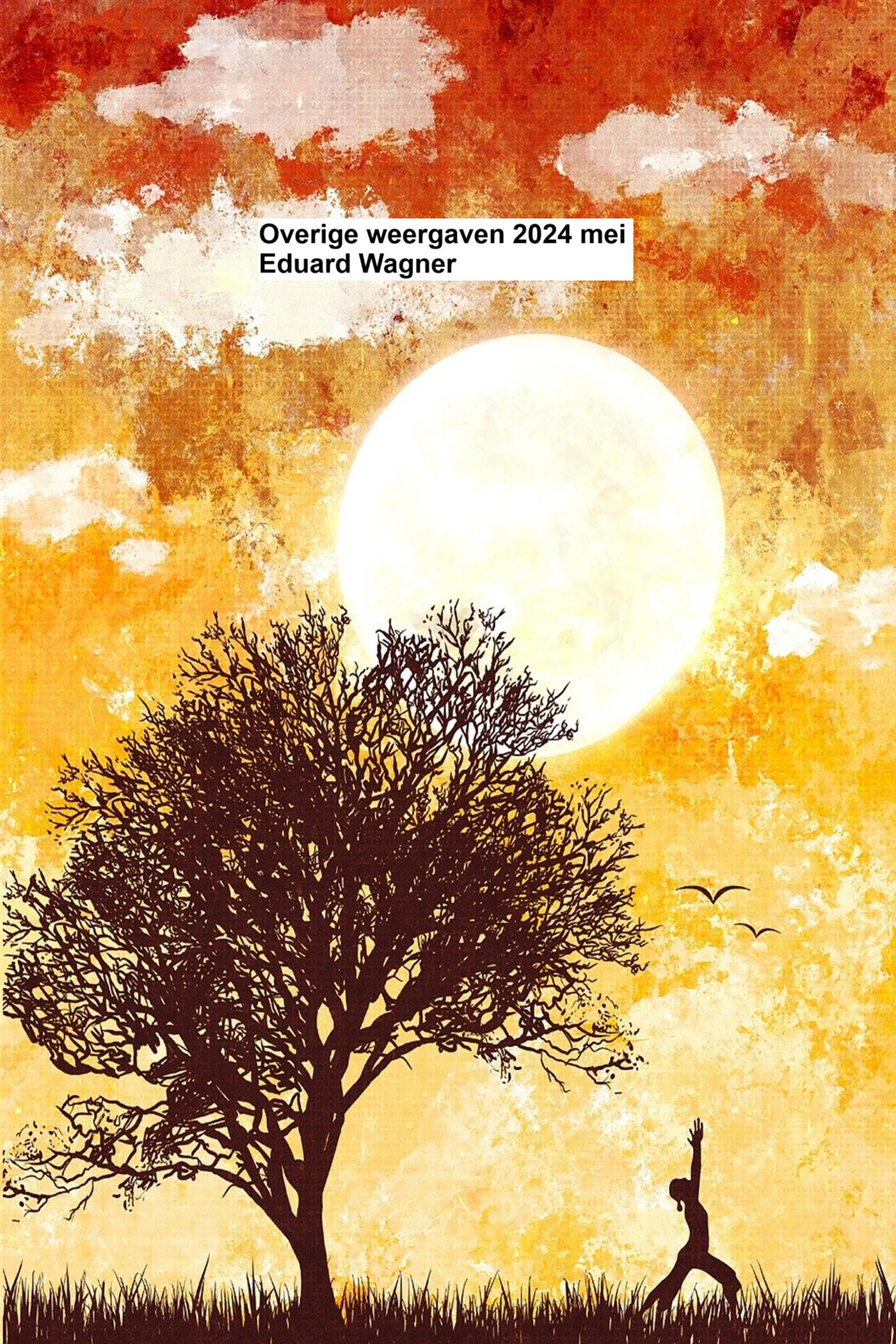 Overige weergaven 2024 mei - Eduard Wagner - E-Book