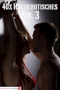 40x Hocherotisches No.3 - Mik Shawn - E-Book