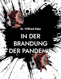 In der Brandung der Pandemie - Wilfried Rabe - E-Book