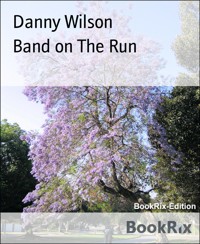 Band on The Run - Danny Wilson - E-Book