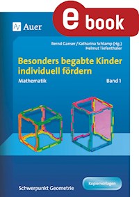 Begabte Kinder individuell fördern, Mathe Band 1 - H.Tiefenthaler - E-Book