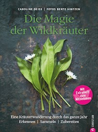 Wildkräuter Kochbuch: Die Magie der Wildkräuter. Eine Kräuterwanderung durch das ganze Jahr. Erkennen, sammeln, zubereiten. Wildkräuter bestimmen, Rezepte Wildpflanzen. - Caroline Deiß - E-Book