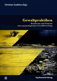 Gewaltpraktiken -  - E-Book
