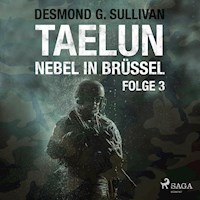 Taelun, Folge 3: Nebel in Brüssel (Ungekürzt) - Desmond G. Sullivan - Hörbuch