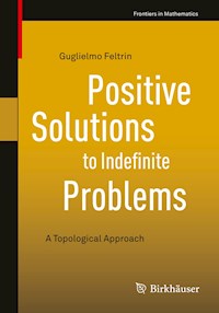 Positive Solutions to Indefinite Problems - Guglielmo Feltrin - E-Book