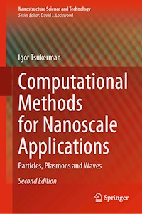 Computational Methods for Nanoscale Applications - Igor Tsukerman - E-Book