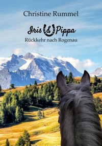 Rückkehr nach Rogenau - Christine Rummel - E-Book