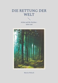 Die Rettung der Welt - Martin Welsch - E-Book
