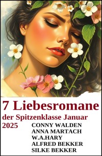 7 Liebesromane der Spitzenklasse Januar 2025 - Conny Walden - E-Book