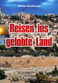 Reisen ins gelobte Land - Walter Kaufmann - E-Book