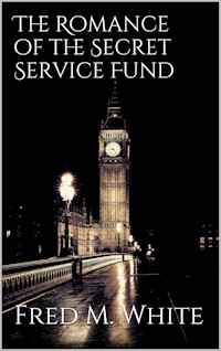The Romance of the Secret Service Fund - Fred M White - E-Book
