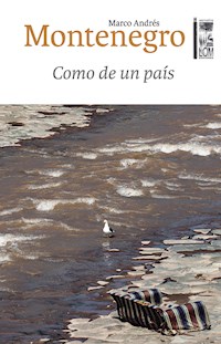 Como de un país - Marco Montenegro Muñoz - E-Book
