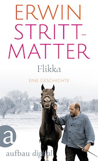 Flikka - Erwin Strittmatter - E-Book