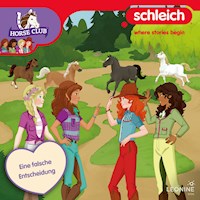 Folge 20: Eine falsche Entscheidung - Antje Seibel - Hörbuch