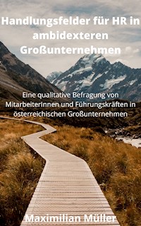 Handlungsfelder für HR in ambidexteren Großunternehmen - Maximilian Müller - E-Book