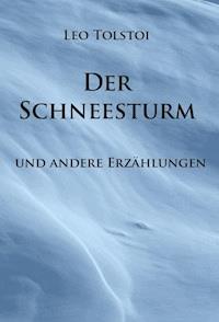 Der Schneesturm - Leo Tolstoi - E-Book