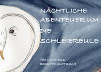Nächtliche Abenteuer um die Schleiereule - Brigitte Klotzsch - E-Book
