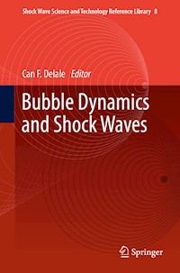 Bubble Dynamics and Shock Waves -  - E-Book